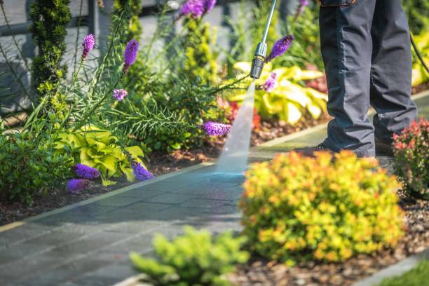 Trusted Kissee Mills, MO Pressure Washing Services Experts